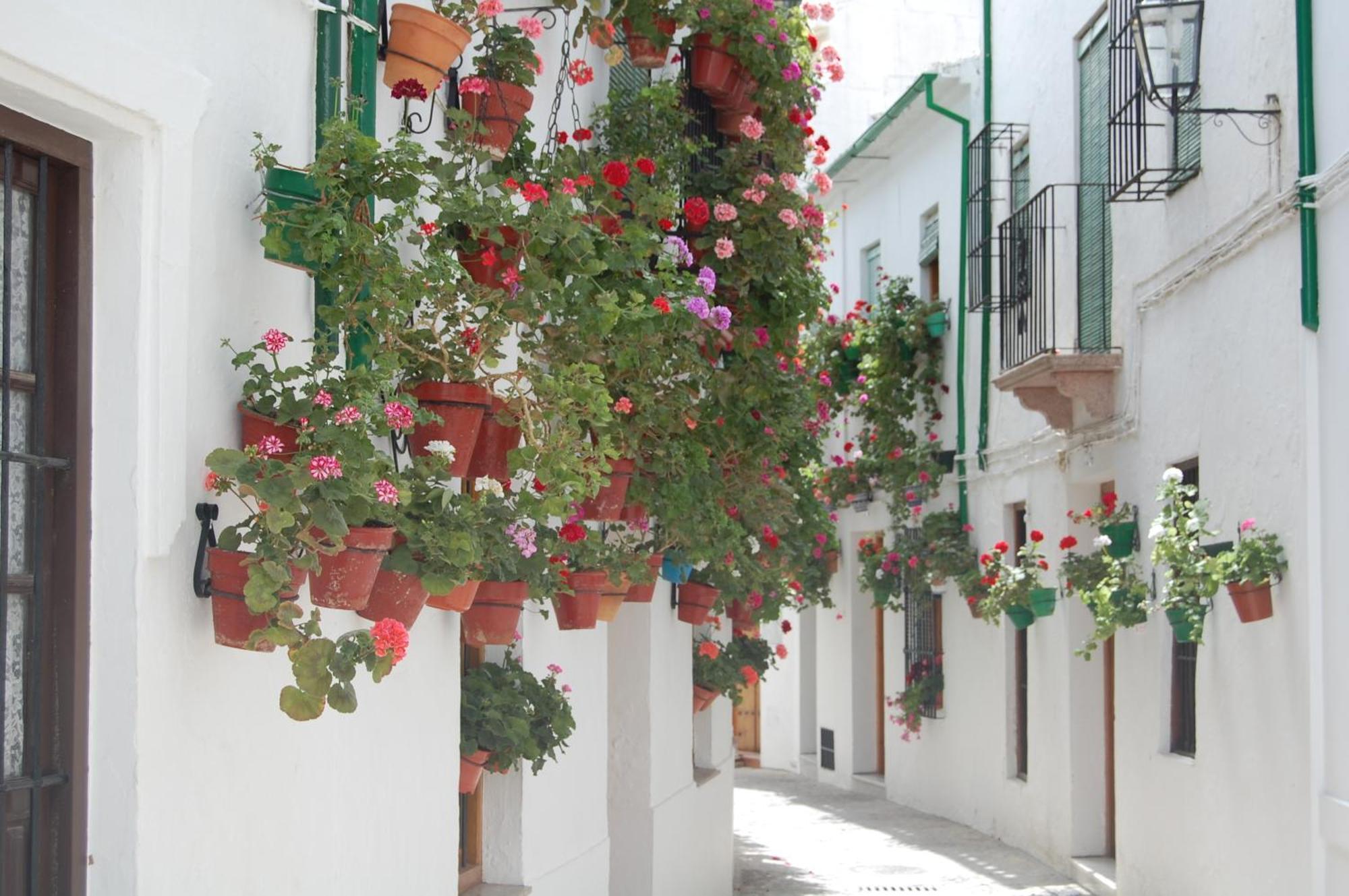 Casa Banos De La Villa بييغو ذي كورذوبا المظهر الخارجي الصورة